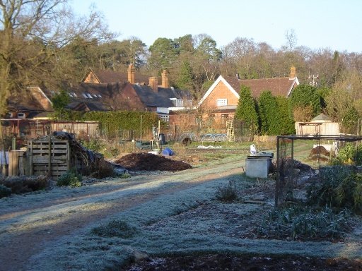 Sunningdale Village Hall, viewed from the southern end of the allotment site